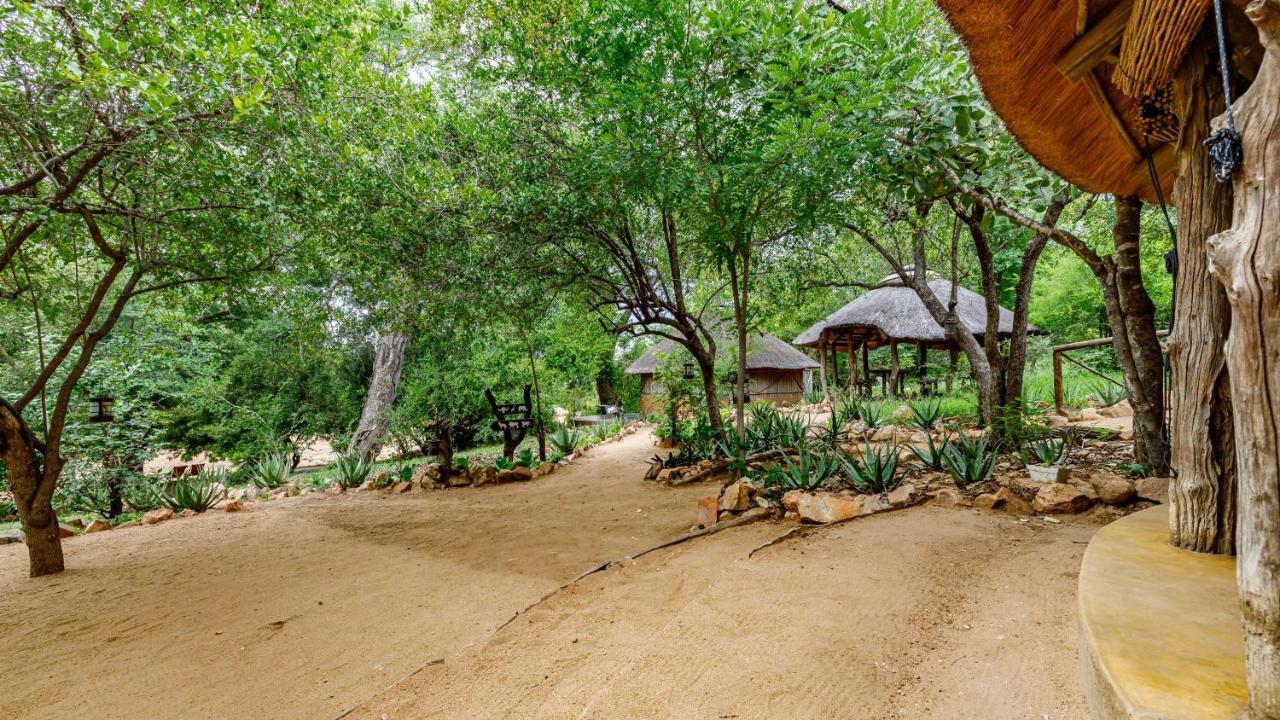Umlani Bushcamp Villa Timbavati viltreservat Exteriör bild